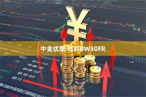 中金优配 杜邦BW30FR